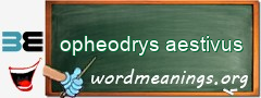 WordMeaning blackboard for opheodrys aestivus